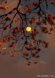 ����С˵:Ұ������H/1V1��