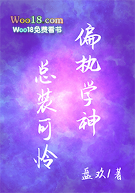 ����С˵:ƫִѧ����װ����