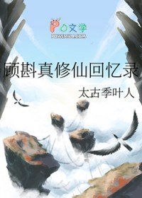 ����С˵:���������ɻ���¼