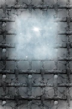 ����С˵:��������[����]