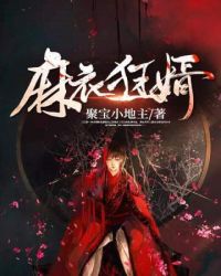 �ƻ�С˵:���¿���