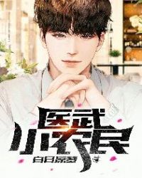 ����С˵:ҽ��Сũ��