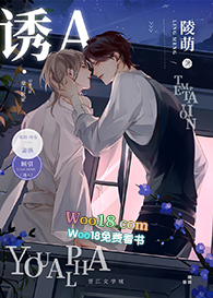 ����С˵:��A