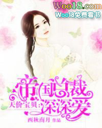 ����С˵:�۹��ܲ����