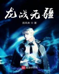 ����С˵:��ս�޽�