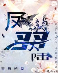 ����С˵:�����½