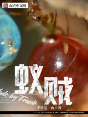 �ƻ�С˵:����