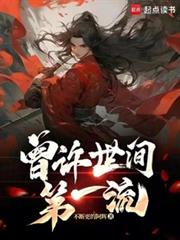 ����С˵:���������һ��