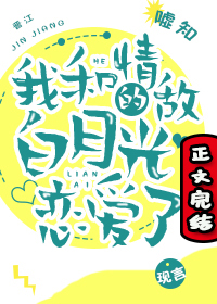 ����С˵:�Һ���еİ��¹�������