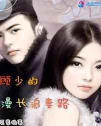 ����С˵:���ٵ�����׷��·