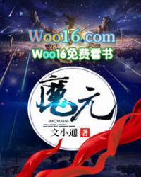 ����С˵:ħԪ