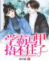 ����С˵:ѧ�������治ס��