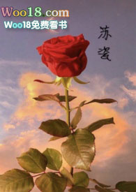 ����С˵:�մɣ�NP��