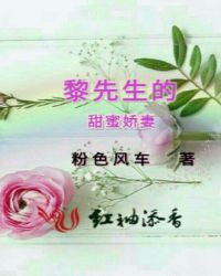 ����С˵:�����������۽���