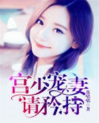 ����С˵:���ٳ��������