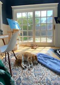 ����С˵:�δ��ǹ�;(1V1 HE��