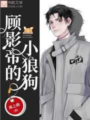 ����С˵:��Ӱ�۵�С�ǹ� ���+����