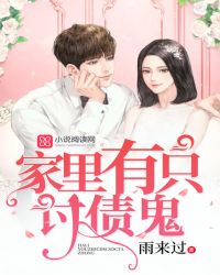 ����С˵:������ֻ��ծ��