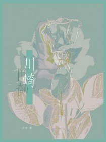 ����С˵:����