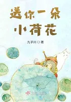 ����С˵:����һ��С�ɻ�