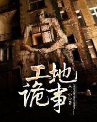 ����С˵:���ع���