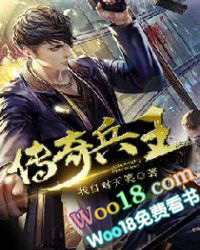 ����С˵:�������