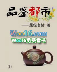 ����С˵:Ʒ������