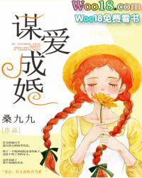 ����С˵:ı���ɻ�