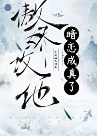 ����С˵:������������������