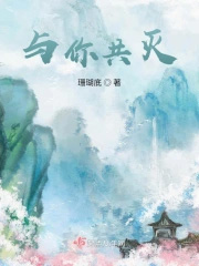 ����С˵:����֮ȫ��������