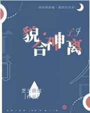 ����С˵:ò������