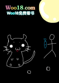 ����С˵:�Ǽ���