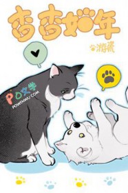 ����С˵:��������