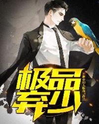 ����С˵:��Ʒ����