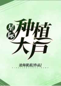 ����С˵:�Ǽ���ֲ�� ���+����