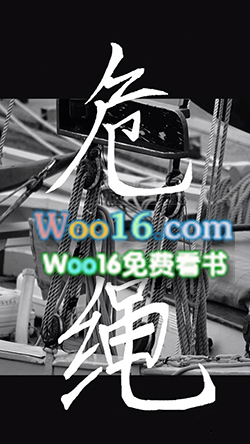 ����С˵:Σ��