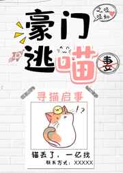 ����С˵:��������