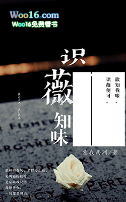 ����С˵:��ʶޱ֪ζ