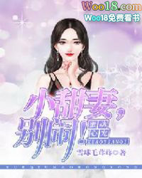 ����С˵:�۳��Ķ���С���ޣ����֣�