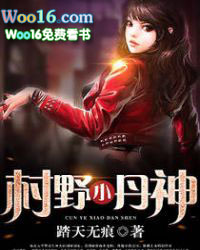 ����С˵:��ҰС����