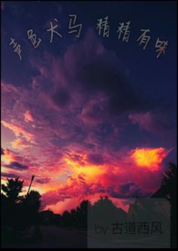 ����С˵:��ɫȮ����������ζ H