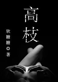 ����С˵:��֦��H��