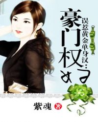 ����С˵:���ǻƽ�����������Ȩ��