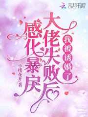 ����С˵:�л��������ʧ�ܺ��ұ��ջ���