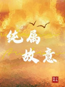 ����С˵:��������