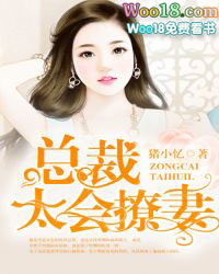 ����С˵:����������ܲ�̫������