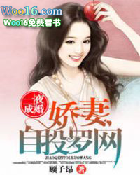 ����С˵:һҹ�ɻ飬������Ͷ����