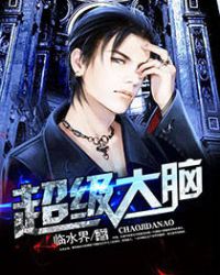 ����С˵:��������