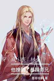 ����С˵:���ɷϲĺ����õ��˱���ʦ��