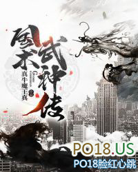 ����С˵:��������